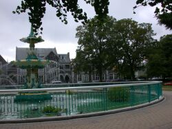 The park